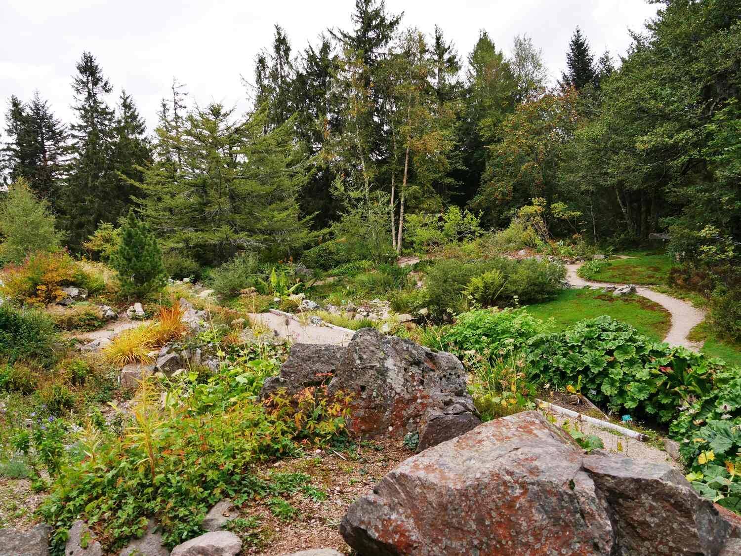 The Haut Chitelet high altitude garden at 43 kilometres from your spa hotel in the Vosges
