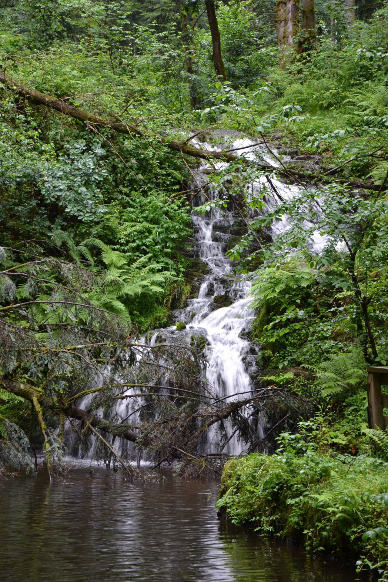 Hiking: Faymont waterfall © Sapin88 - CC BY-SA 4.0